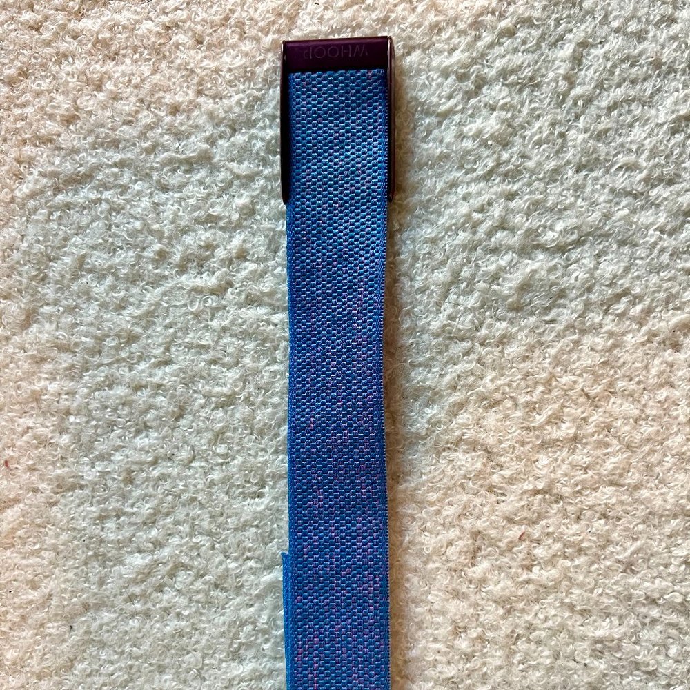 Whoop Miami Blue Band